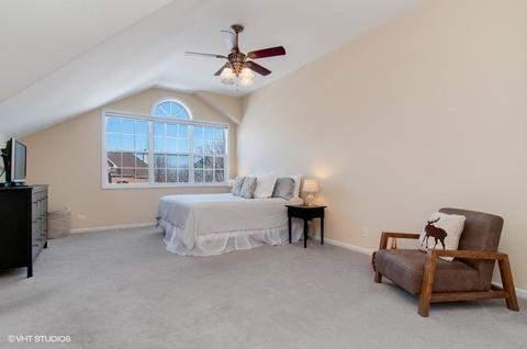13042 Skyline Dr, Plainfield, IL 60585 photo 14