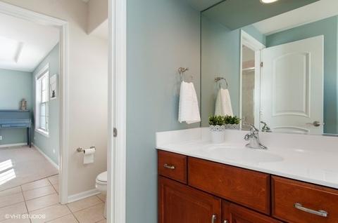 13042 Skyline Dr, Plainfield, IL 60585 photo 21