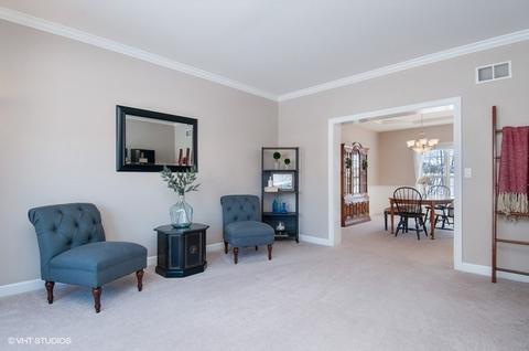 13042 Skyline Dr, Plainfield, IL 60585 photo 3