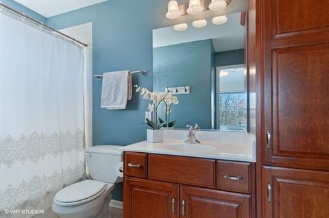 13042 Skyline Dr, Plainfield, IL 60585 photo 19