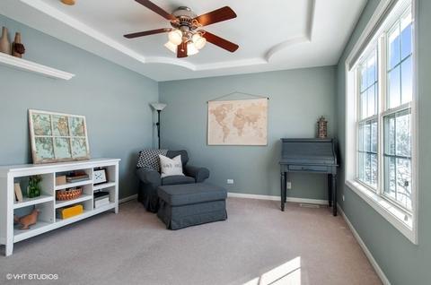 13042 Skyline Dr, Plainfield, IL 60585 photo 22