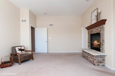 13042 Skyline Dr, Plainfield, IL 60585 photo 15