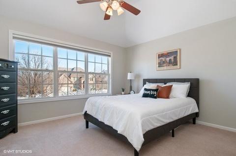 13042 Skyline Dr, Plainfield, IL 60585 photo 18