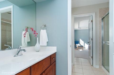 13042 Skyline Dr, Plainfield, IL 60585 photo 23
