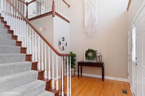 13042 Skyline Dr, Plainfield, IL 60585 photo 2