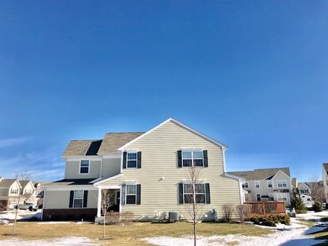 1194 Falcon Ridge Dr, Elgin, IL 60124 photo 4