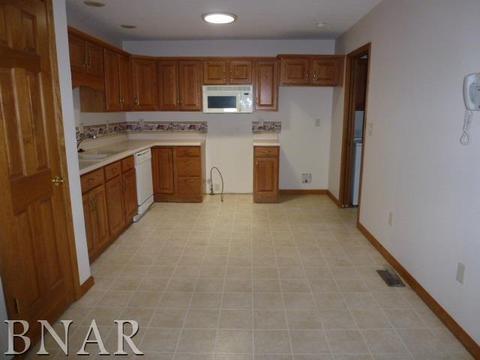 91 Cedar Dr, Clinton, IL 61727 photo 4