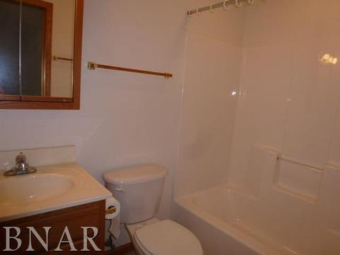 91 Cedar Dr, Clinton, IL 61727 photo 13