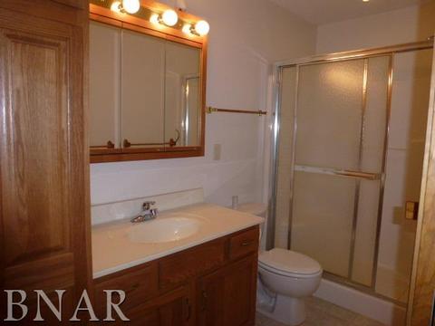 91 Cedar Dr, Clinton, IL 61727 photo 10