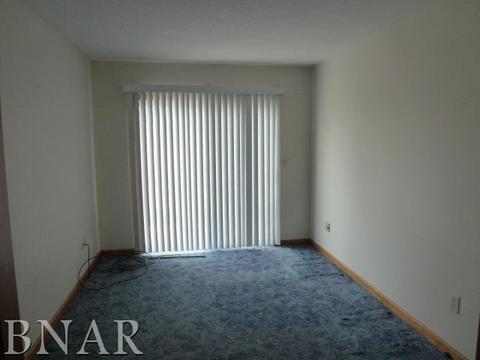 91 Cedar Dr, Clinton, IL 61727 photo 5