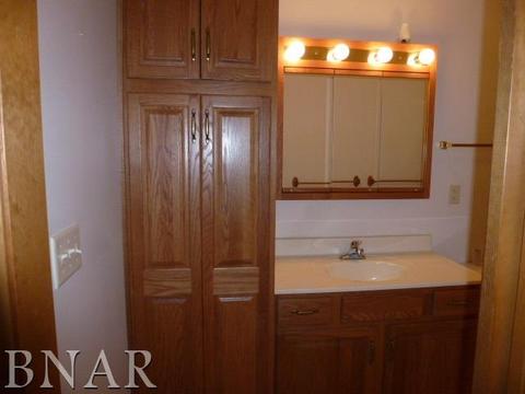 91 Cedar Dr, Clinton, IL 61727 photo 11