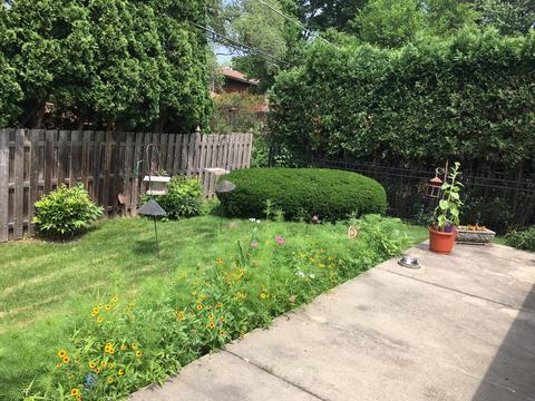 365 E Laurel Ave, Elmhurst, IL 60126 photo 25
