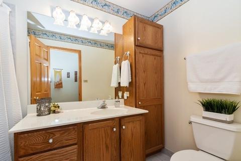 15312 Cherry Ln, Oak Forest, IL 60452 photo 11