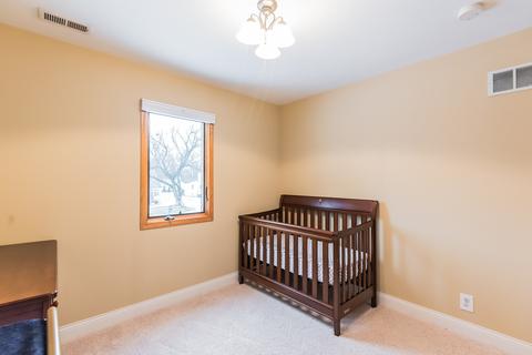 318 Central Ave, Willowbrook, IL 60527 photo 19