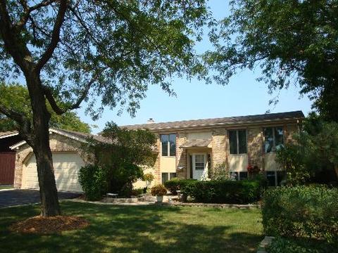 175 S Richard Ct, Addison, IL 60101 photo 1