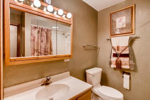 175 S Richard Ct, Addison, IL 60101 photo 19