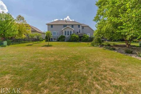1712 Wintergreen Pkwy, Normal, IL 61761 photo 39