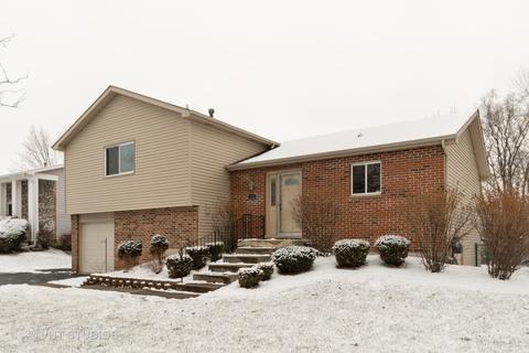 32 Willow Rd, Matteson, IL 60443 photo 1