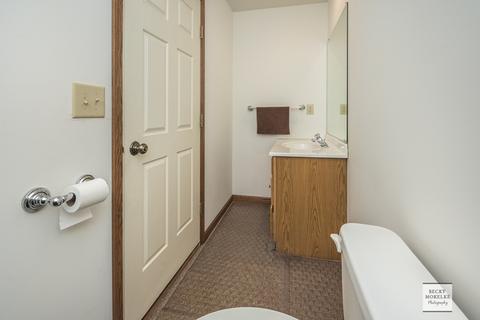 411 E Rennesoy Dr, Newark, IL 60541 photo 20