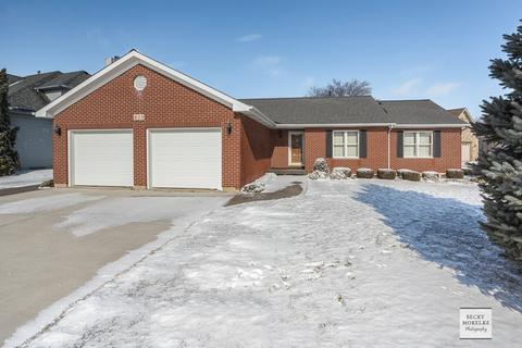 411 E Rennesoy Dr, Newark, IL 60541 photo 1