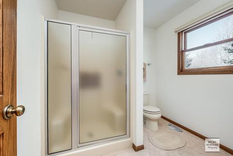 411 E Rennesoy Dr, Newark, IL 60541 photo 14
