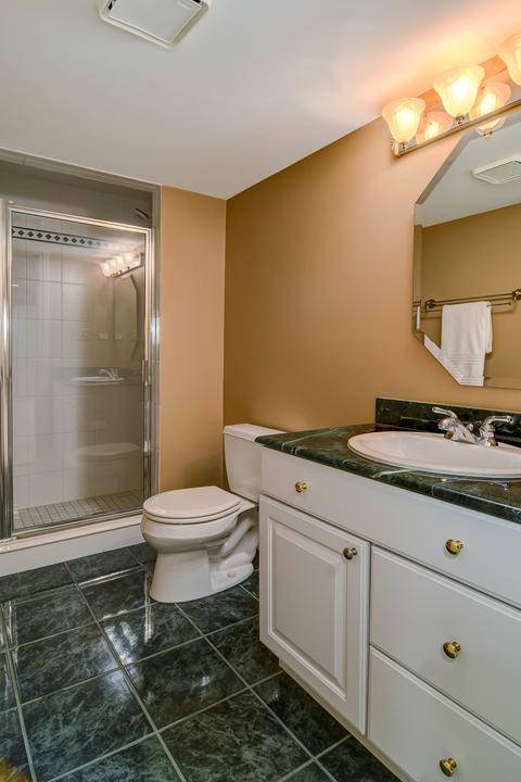 8 Todor Ct, Burr Ridge, IL 60527 photo 30