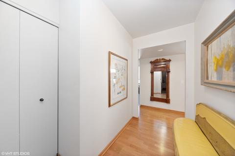 100 E Bellevue Pl #16F, Chicago, IL 60611 photo 3