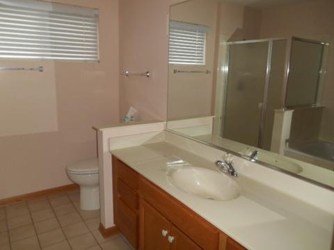 21440 W Larch Dr, Plainfield, IL 60544 photo 12