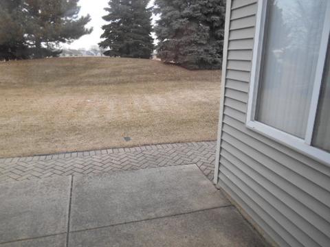 21440 W Larch Dr, Plainfield, IL 60544 photo 9