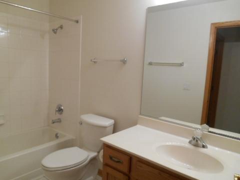 21440 W Larch Dr, Plainfield, IL 60544 photo 16