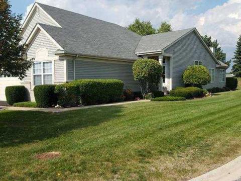 21440 W Larch Dr, Plainfield, IL 60544 photo 3