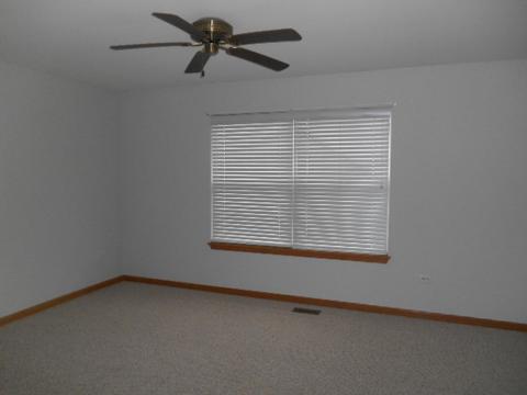21440 W Larch Dr, Plainfield, IL 60544 photo 10
