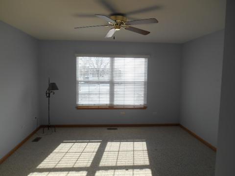 21440 W Larch Dr, Plainfield, IL 60544 photo 14