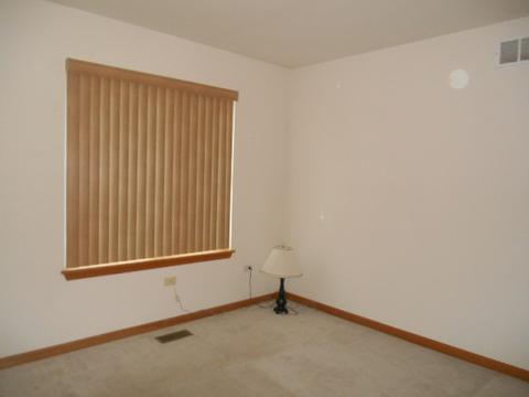 21440 W Larch Dr, Plainfield, IL 60544 photo 13