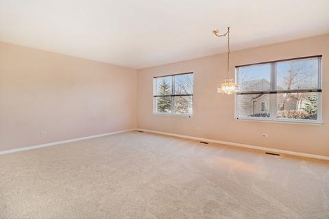 21134 W Cypress Ct, Plainfield, IL 60544 photo 4