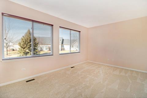 21134 W Cypress Ct, Plainfield, IL 60544 photo 9