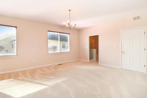 21134 W Cypress Ct, Plainfield, IL 60544 photo 11