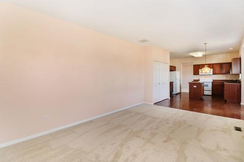 21134 W Cypress Ct, Plainfield, IL 60544 photo 10