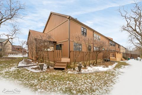 175 Shadowbend Dr, Wheeling, IL 60090 photo 22