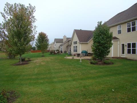 3810 Trillium Trl, Elgin, IL 60124 photo 7