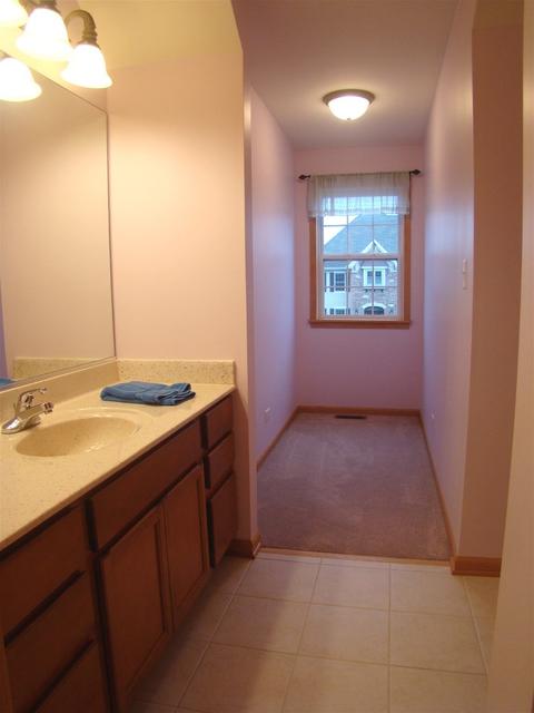 3810 Trillium Trl, Elgin, IL 60124 photo 52