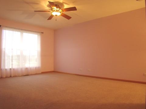 3810 Trillium Trl, Elgin, IL 60124 photo 50