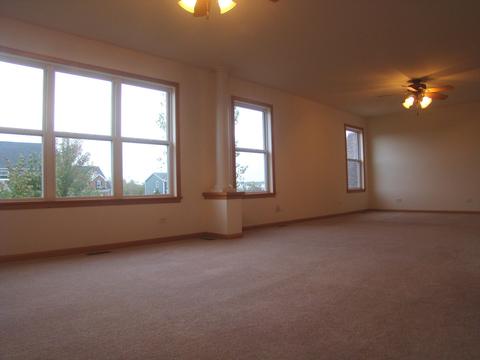 3810 Trillium Trl, Elgin, IL 60124 photo 45