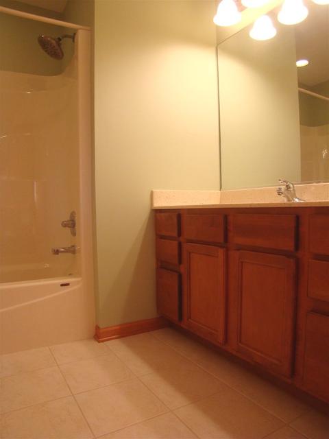 3810 Trillium Trl, Elgin, IL 60124 photo 61