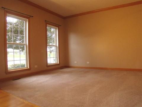3810 Trillium Trl, Elgin, IL 60124 photo 15