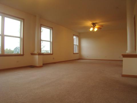 3810 Trillium Trl, Elgin, IL 60124 photo 46