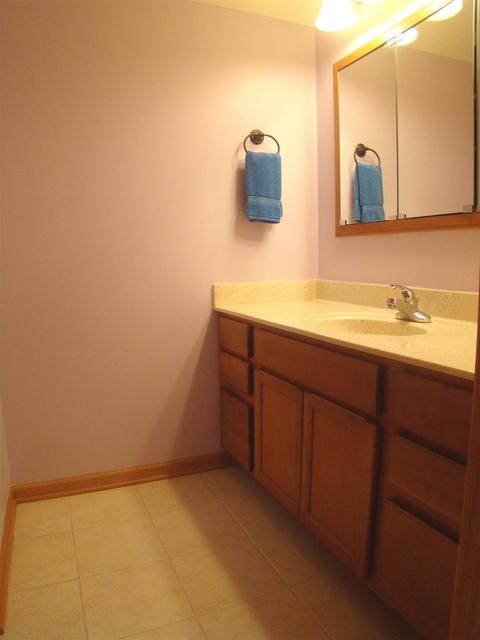 3810 Trillium Trl, Elgin, IL 60124 photo 53