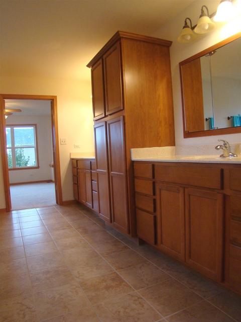 3810 Trillium Trl, Elgin, IL 60124 photo 44