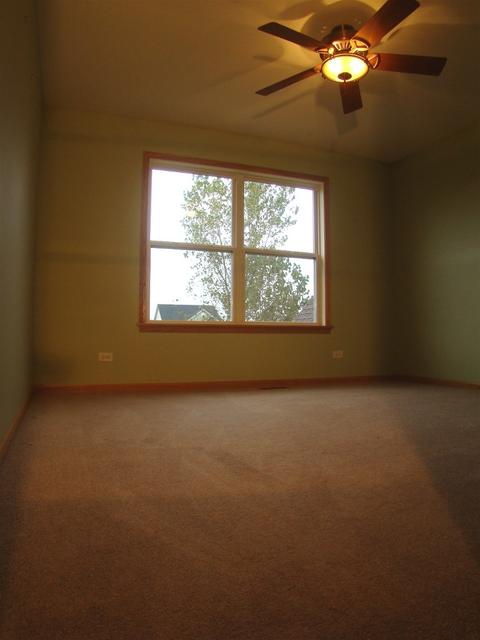 3810 Trillium Trl, Elgin, IL 60124 photo 59