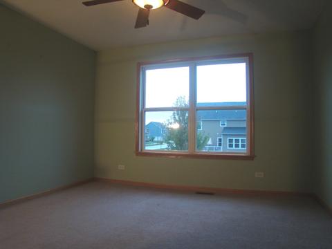 3810 Trillium Trl, Elgin, IL 60124 photo 60